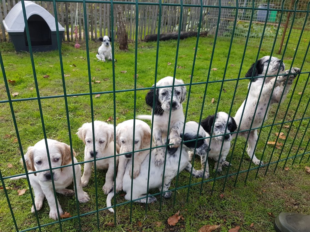 Des Belles De Beaulieu - Déconfinement pour les petits